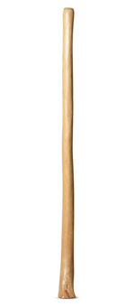 Natural Finish Didgeridoo (TW643)